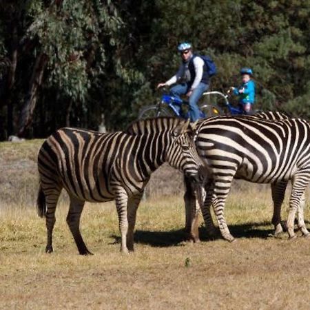 Zoofari Lodge, Taronga Western Plains Zoo Dubbo Esterno foto