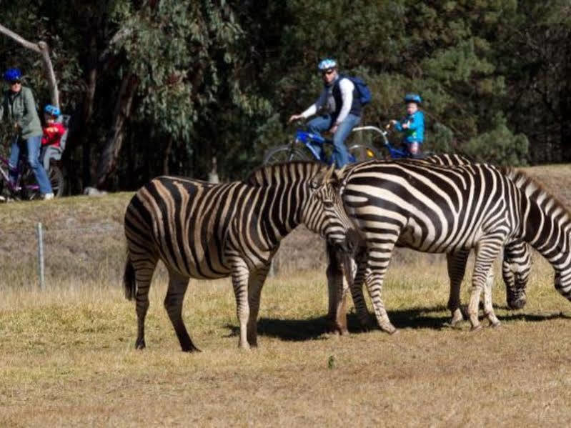 Zoofari Lodge, Taronga Western Plains Zoo Dubbo Esterno foto