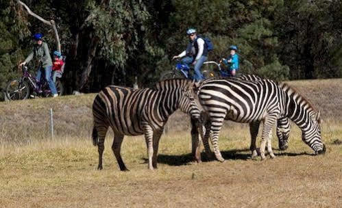 Zoofari Lodge, Taronga Western Plains Zoo Dubbo Esterno foto